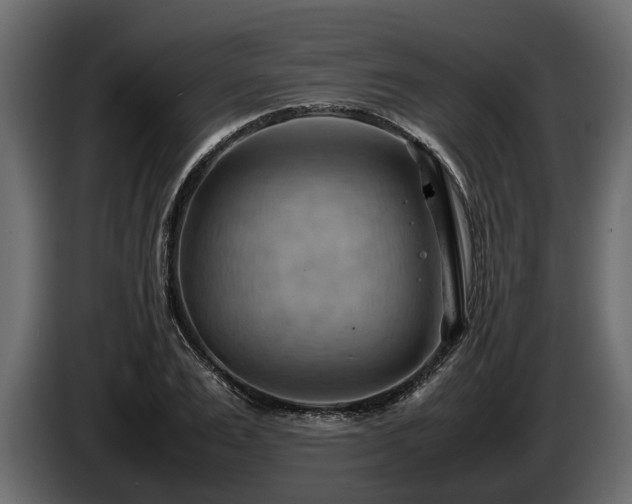 X0000085740983200703231106