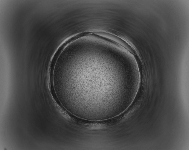 X0000085740984200703231106