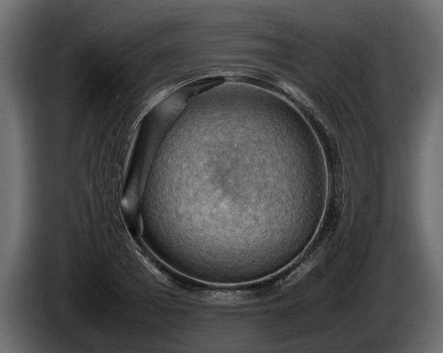X0000085740985200703231106