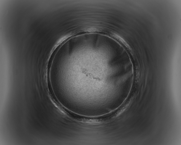X0000085740986200703231106