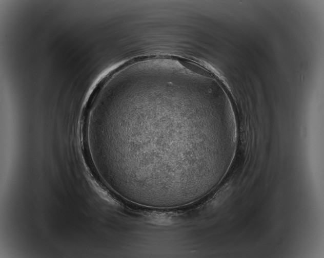 X0000085740987200703231106