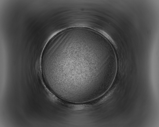 X0000085740988200703231106