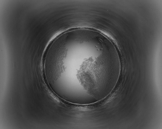 X0000085740990200703231106