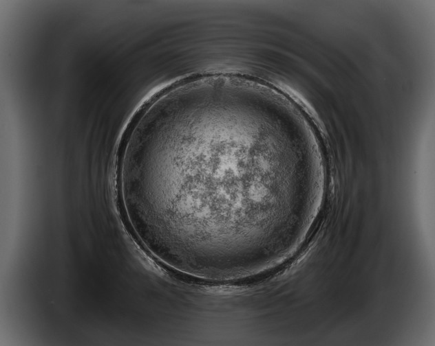 X0000085740992200703231106