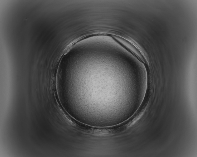 X0000085740993200703231106