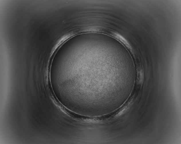 X0000085740994200703231106