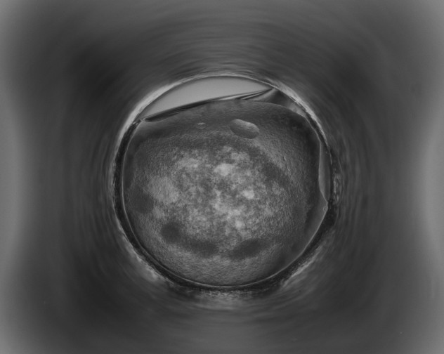 X0000085740995200703231106