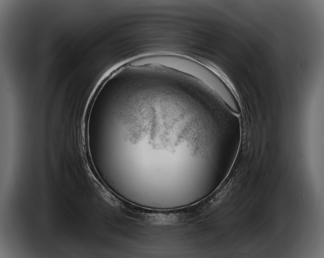 X0000085740996200703231106