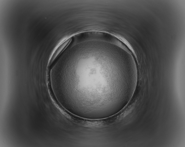 X0000085740997200703231106