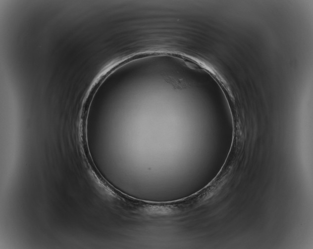 X0000085740998200703231106