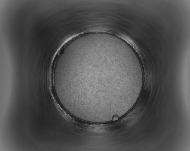 X0000085741000200703231106