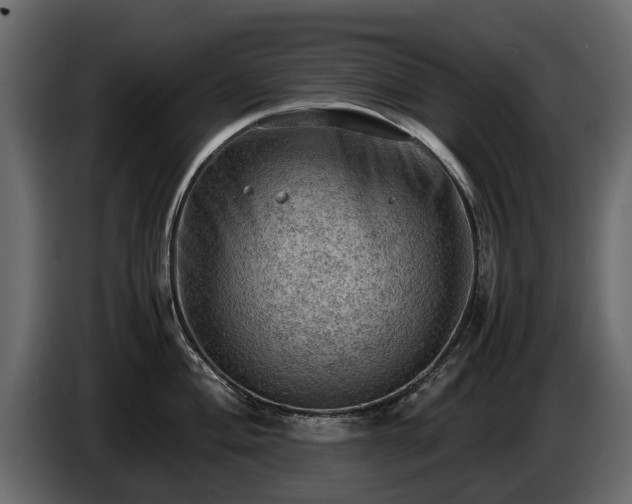 X0000085741004200703231106