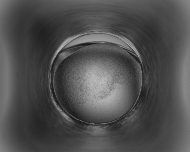 X0000085741005200703231106