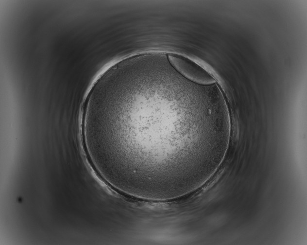 X0000085741006200703231106