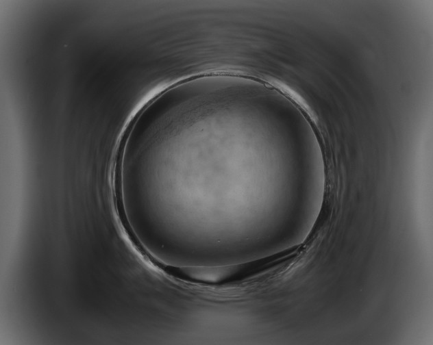 X0000085741007200703231106