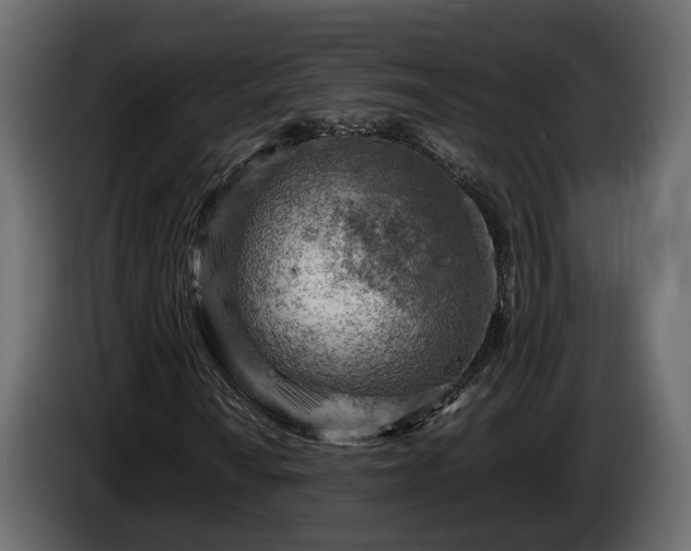 X0000085741010200703231105