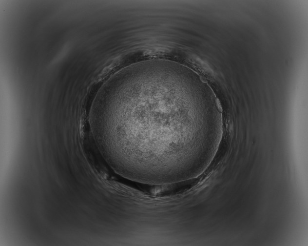 X0000085741012200703231105