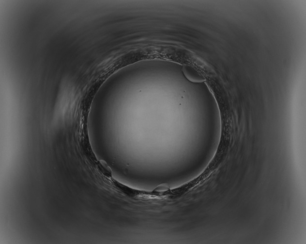 X0000085741013200703231105