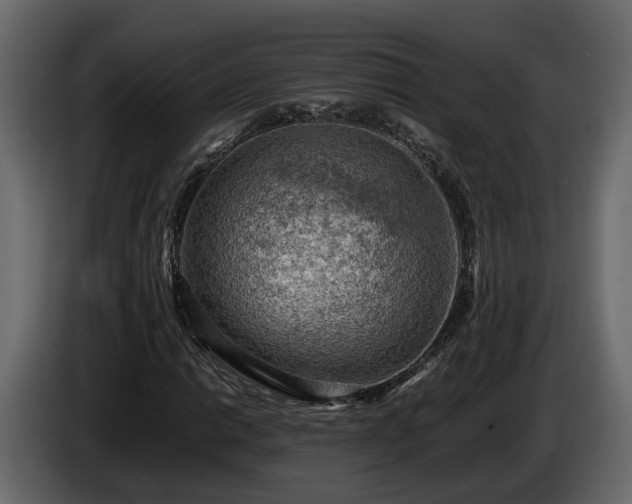 X0000085741014200703231105