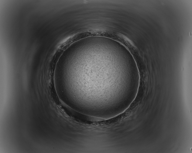 X0000085741016200703231105