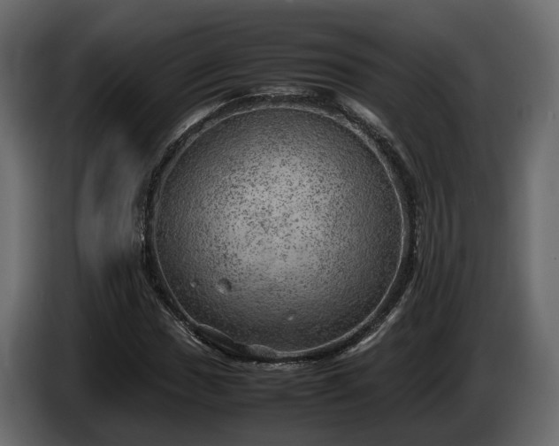 X0000085741017200703231105