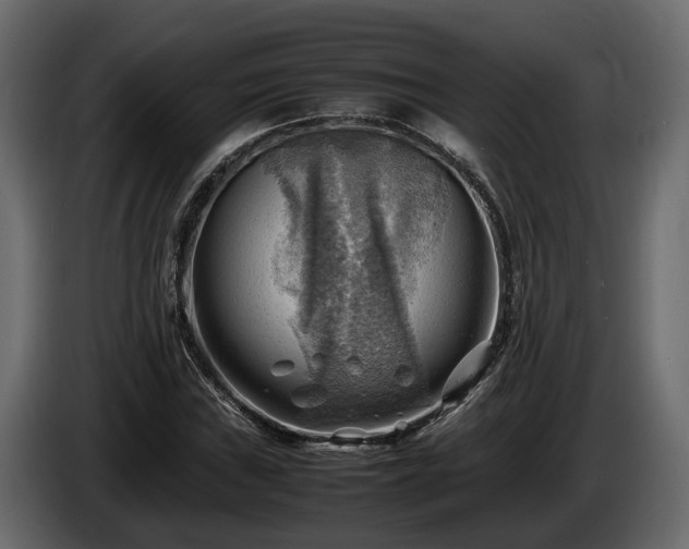 X0000085741019200703231105