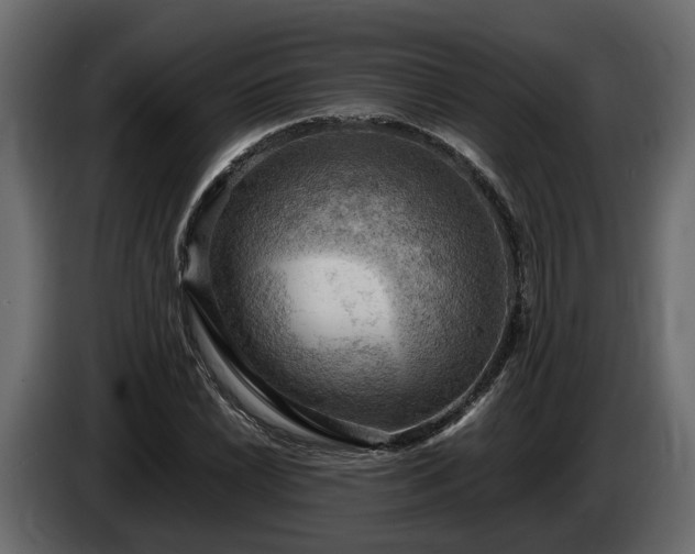 X0000085741022200703231105