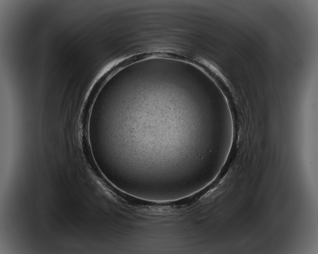 X0000085741024200703231105