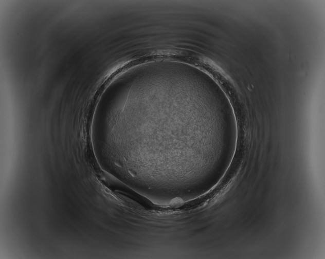 X0000085741025200703231105