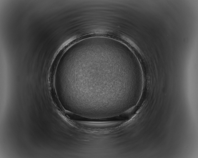 X0000085741026200703231105