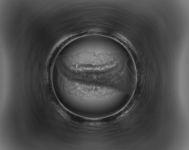 X0000085741027200703231105