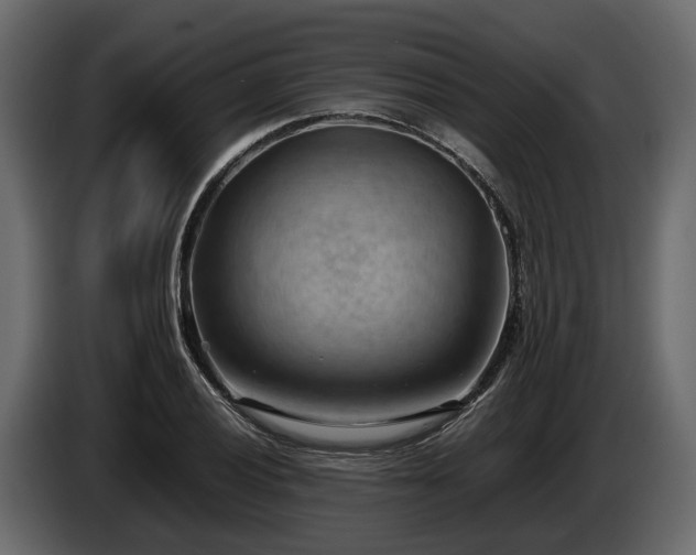 X0000085741028200703231105