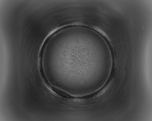 X0000085741029200703231105