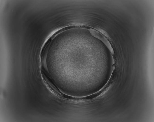 X0000085741030200703231105