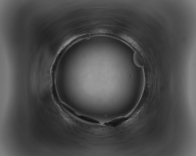 X0000085741031200703231105
