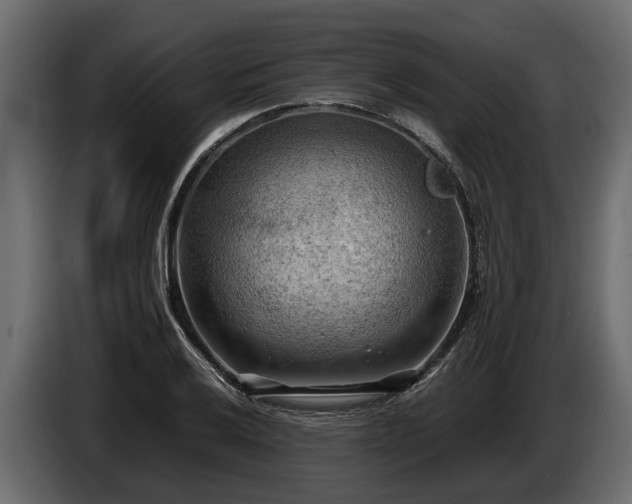 X0000085741032200703231105