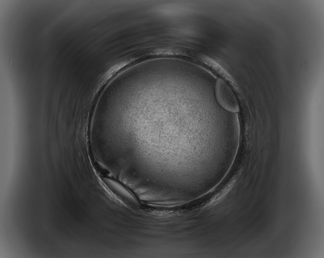 X0000085741033200703231105