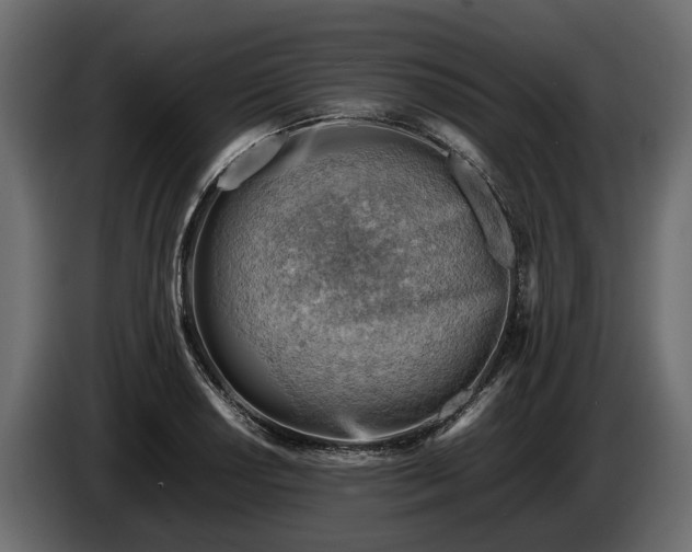 X0000085741034200703231105