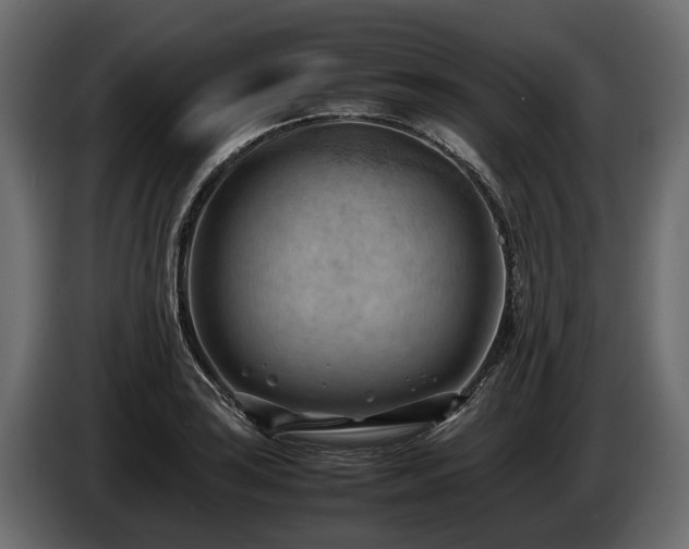 X0000085741035200703231105