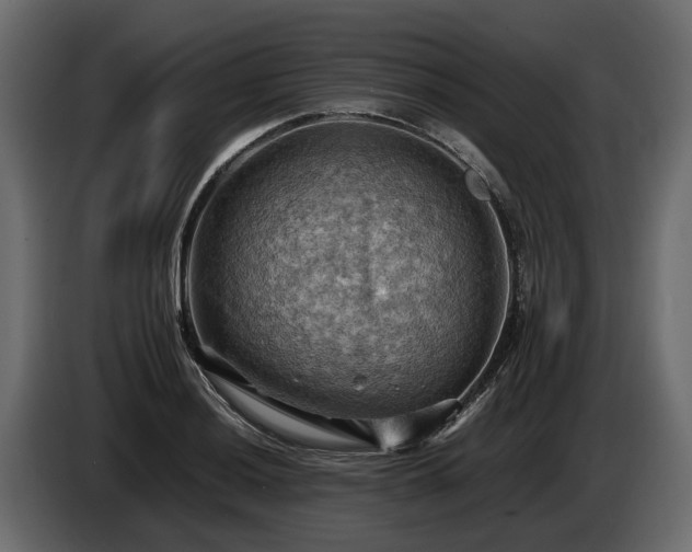X0000085741036200703231106