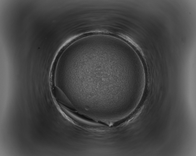 X0000085741037200703231106