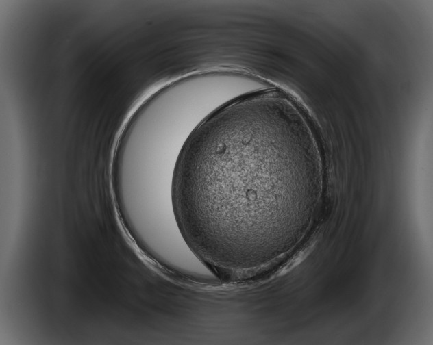 X0000085741038200703231106