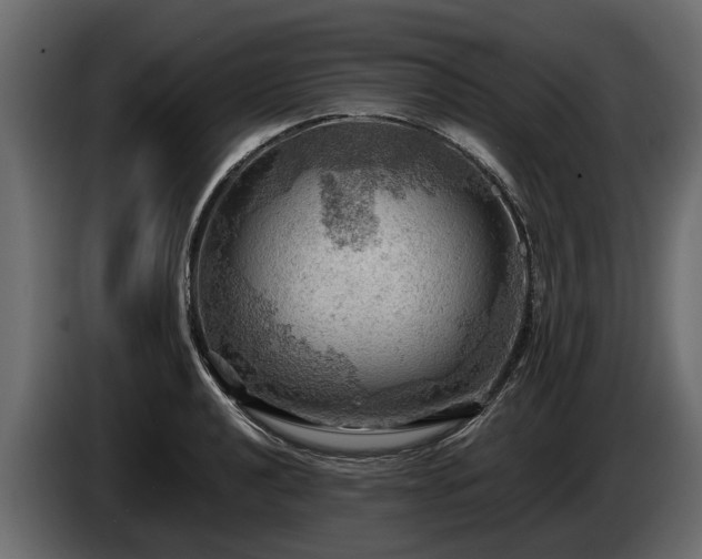 X0000085741040200703231106