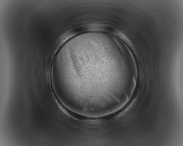 X0000085741041200703231106