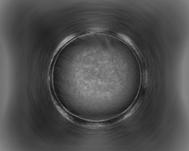 X0000085741042200703231106
