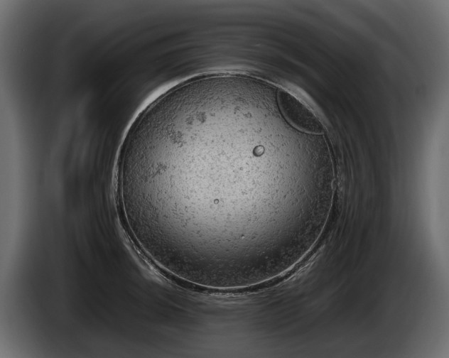 X0000085741044200703231106