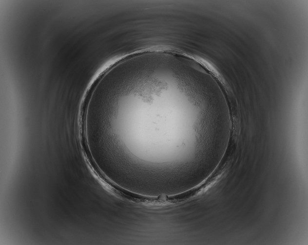 X0000085741046200703231106