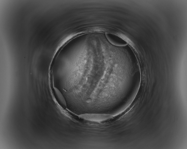 X0000085741047200703231106