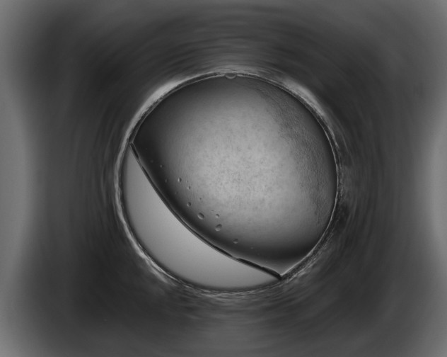 X0000085741048200703231106