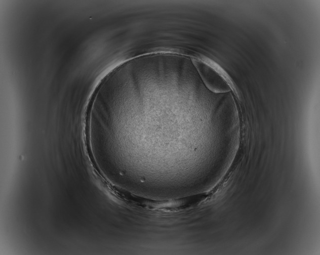 X0000085741051200703231106